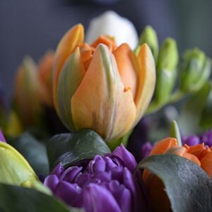 Tulpenstrauss