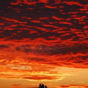 Sonnenaufgang Hattingen
