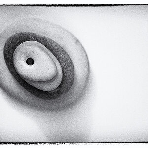 8/365
