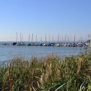 2013 10 02 Steinhuder Meer (1497)