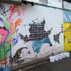 DSC 4078