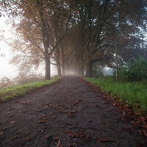 Herbst