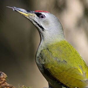 2014 00241