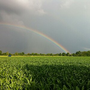 Regenbogen