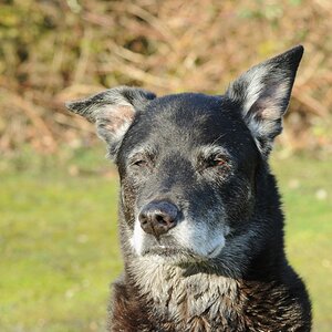 Willi Portrait1