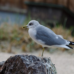 20140119 DSC 4924