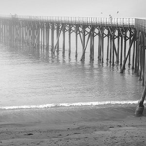 DSC 5992 Hearst Parc HWY1 sw 1000