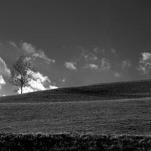 Nikon D3100 in der Steiermark