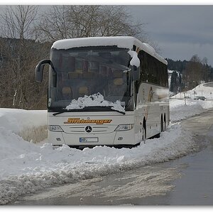 MNE 1951, 20140210
D800 24-120/4,0