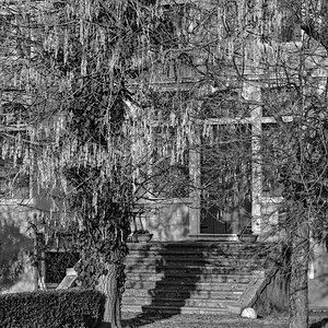 DSC 7626p sig crop