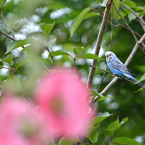 DSC 0837