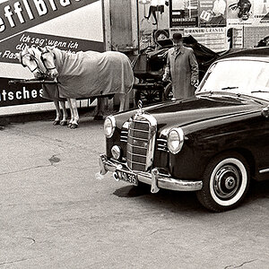 Konkurrenz hinter dem Steffl 1958