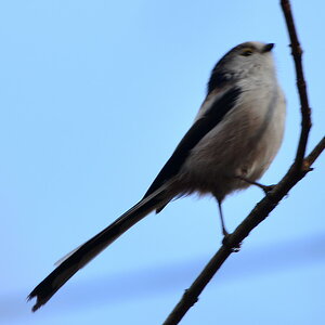 DSC 8835
