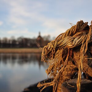 Eines Morgens an der Elbe