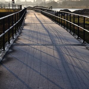 Eines Morgens an der Elbe
