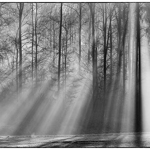Licht PZ16099