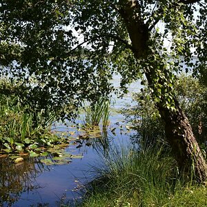 2013 09 05 Steinhuder Meer (1061)