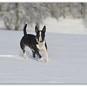 130209 Gebershei 076