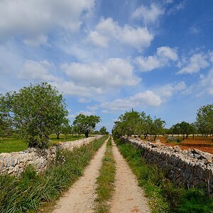 Mallorca (1)