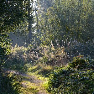 2013 10 02 Steinhuder Meer (1327)