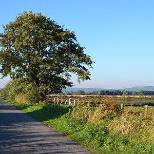 2013 10 02 Steinhuder Meer (1363)
