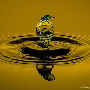 20130928 DSC 0129nf