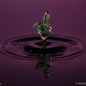 20130928 DSC 0148nf