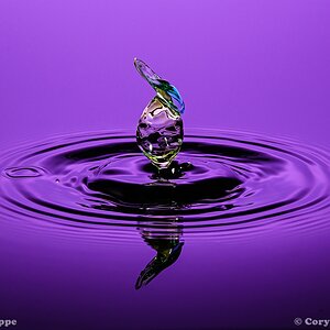20130928 DSC 0193nf