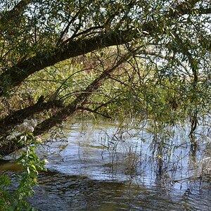 2013 10 02 Steinhuder Meer (1496)