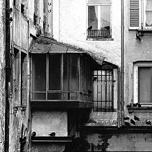 Taubenbalkon1