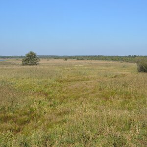 2013 10 02 Steinhuder Meer (1549)