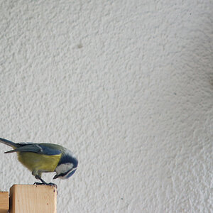 DSC 1209 DxO 2