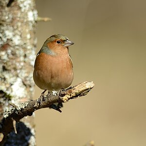 2014 02104