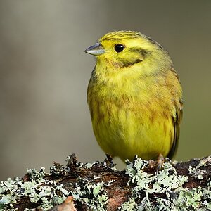 2014 02238
