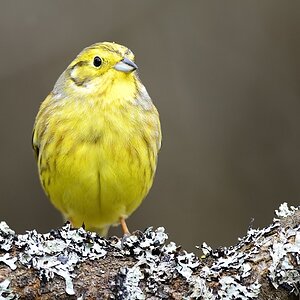 2014 02257