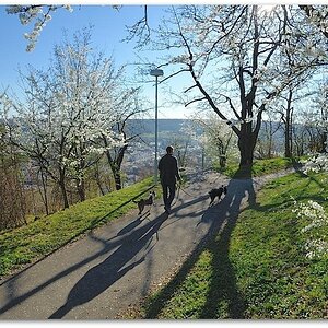 MNE 9588, 20140317
D700 AF-S 18-35/3,5-4,5 G