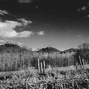 Trifels Mond
