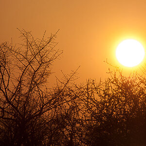 D70s und 300mm f4 AF
