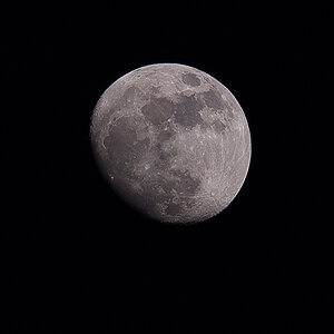 Crop aus D70s und 300mm f4 AF
