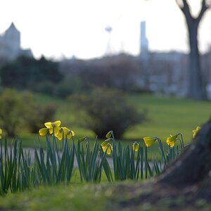 Köln Rheinpark 20140302 172705