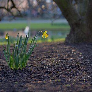 Köln Rheinpark 20140302 170943