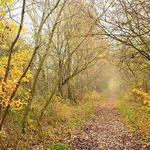 2013 11 21 Steinhuder Meer (1830)