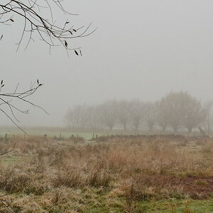 2013 11 21 Steinhuder Meer (1876)
