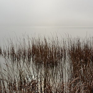 2013 11 21 Steinhuder Meer (1936)