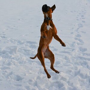 Spaß im Schnee