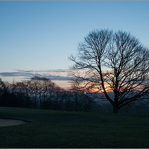 baum3