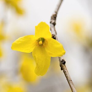 Der Frühling ist da!