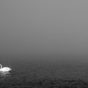 comp DSC 0791a