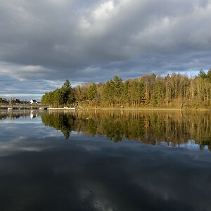 rheinau, an der grenze CH-D