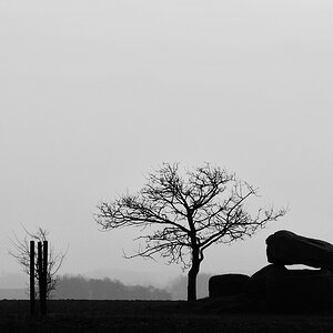 comp DSC 3330